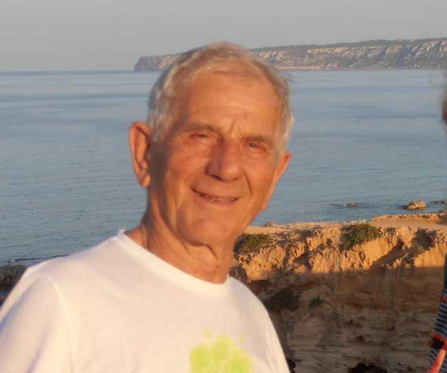fanchini livio