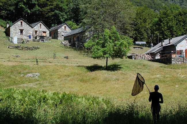 farfalle Manuel Piana Scaredi In la Piana Ragozzale 1718 luglio 2014 12