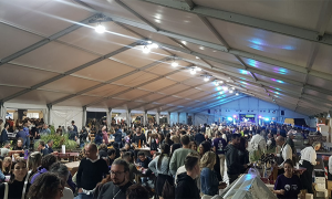 festa uva masera 22 capannone