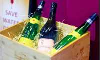 festa vino