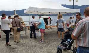 festival pizza vb 1704