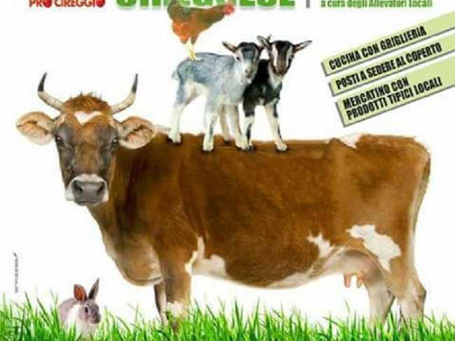 fieraAgricola Cireggio bis 2