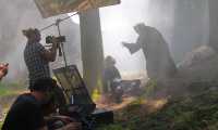 film pineta