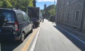 film veneto