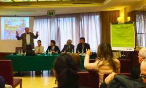 finkbhonner conferenza corona