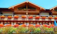 fiori balcone