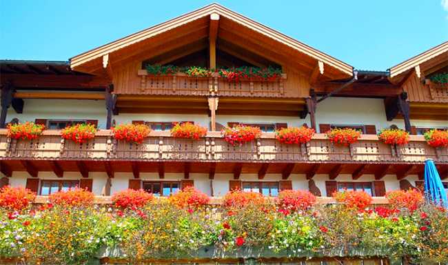 fiori balcone