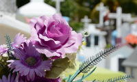 fiori cimitero