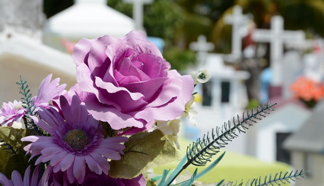 fiori cimitero