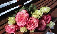 fiori rose pANchina