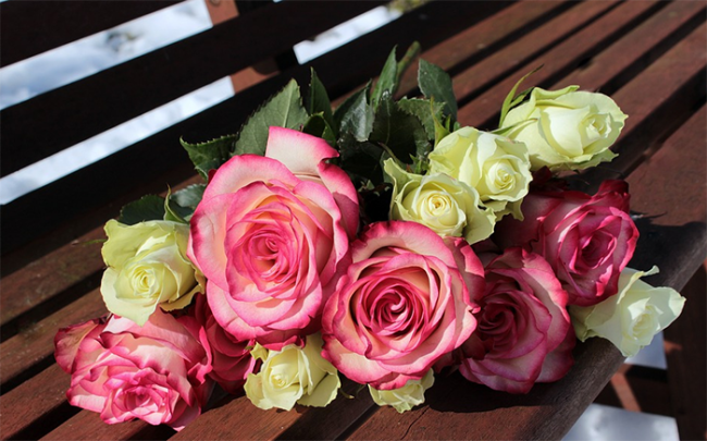 fiori rose pANchina