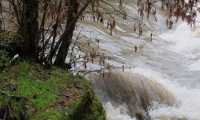 fiume p