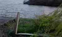 fluviale