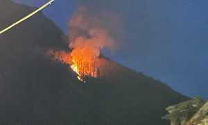 focolaio monteossolano