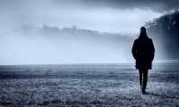 fog 3914967 960 720