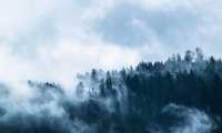 fog g53a0fa187 640