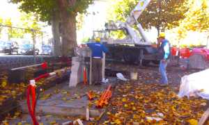 fontana madonna neve