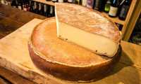 fontina