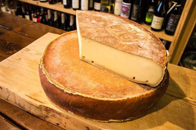 fontina