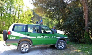 forestale jeep agente