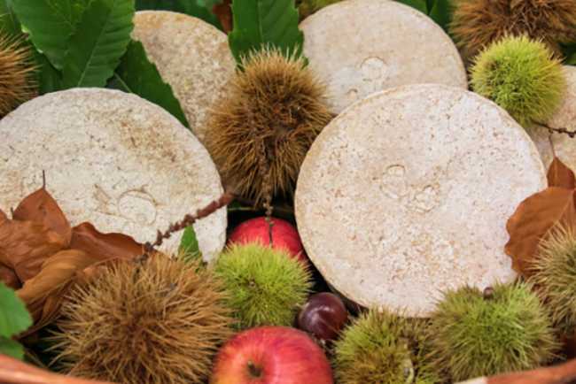 formaggi castagne e mele il trionfo dei sapori della val dossola ph marco cerini