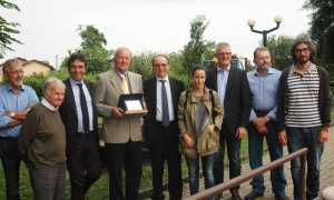 formica oro filipetto