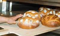 forno pane