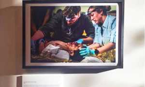 foto rota guerra ospedale