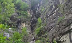 francese mulo pioda sposi trasquera