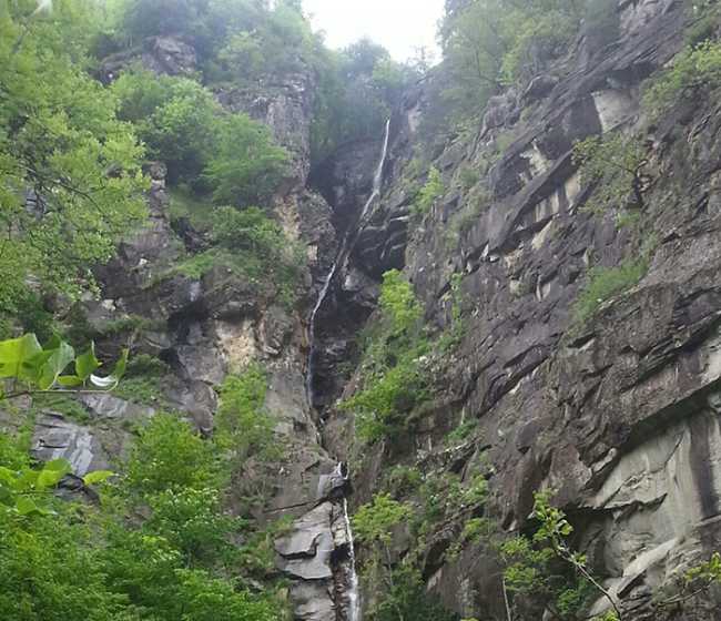 francese mulo pioda sposi trasquera