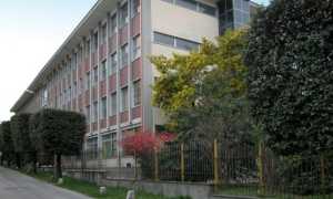 franzosini