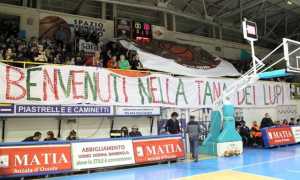 fulgor paffonipalasport