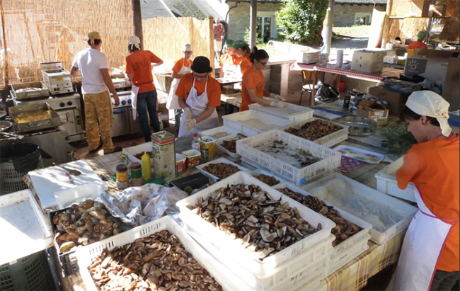 funghi cucina sagra trontano fungo