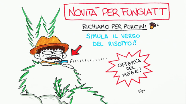fungiatt sapo