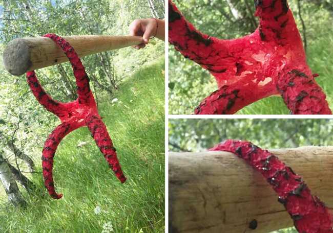 fungo noezelandese rosso mix