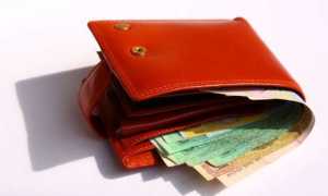 furto borsello generico