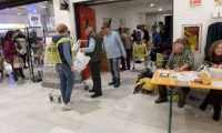 g solidariet