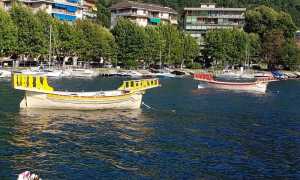 galeoni palio remiero omegna