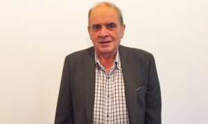 gallo bernardino sfondo bianco