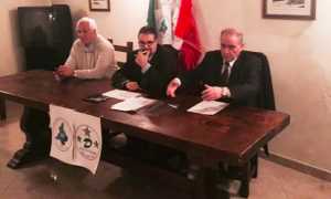 gallo ciurleo corona