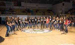 gatta volpe concerto