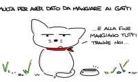 gatti