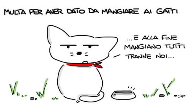 gatti