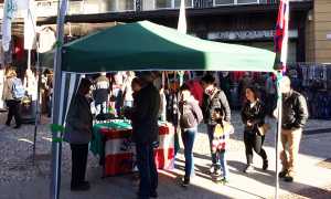 gazebo lega mercato domo mag