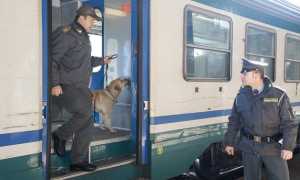 gdf treno