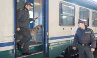 gdf treno