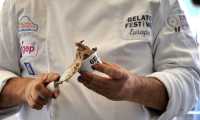 gelato festival