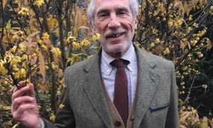 gian vico melzi deril