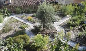 giardino semplici