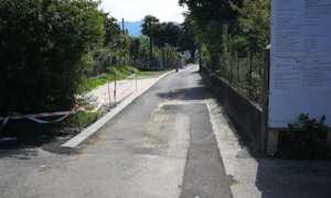 ginestre